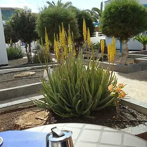 https://apart10a.in-canary-islands.com